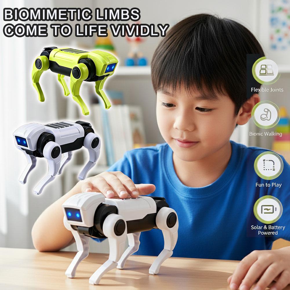 Science Diy Model - Brinquedo Robô Cão RC de Montagem
