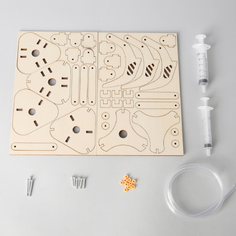 Kit de Brinquedos de Experimen - Science Diy Model avaliação e preço