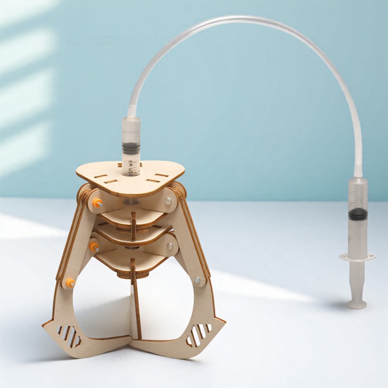 Kit de Brinquedos de Experimen - Science Diy Model avaliação e preço